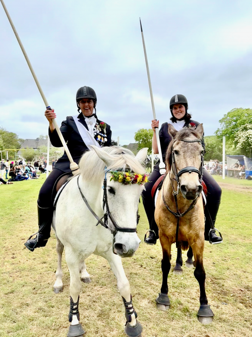 Ringreiten in Morsum auf Sylt Pferd mit Blumenschmuck Amazone Reiterin